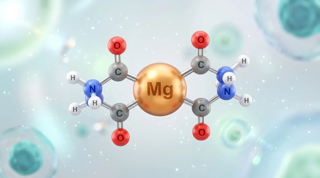 What Is Magnesium Glycinate? (Definition, Structure & Overview)
